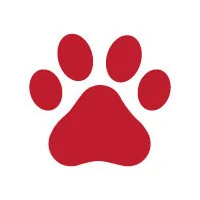 Pet - scopri la categoria dedicata agli animali su EvohomeShop